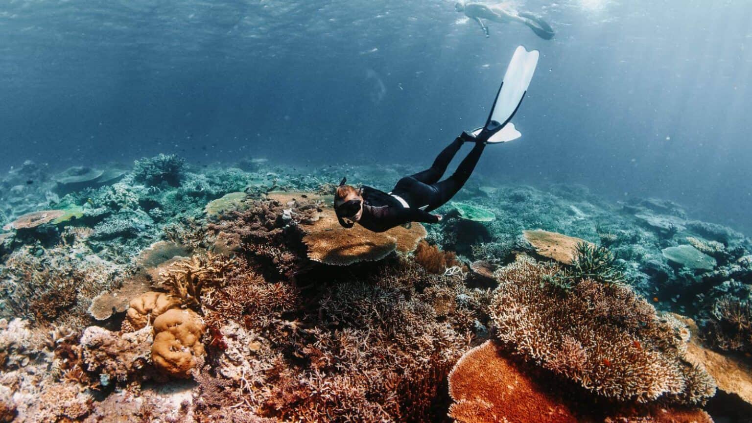 Colorful-Coral-Reefs-for-an-Unforgettable-Snorkeling-Experience-Komodo-National-Park-Indonesia_©-Dudarev-Mikhail_Adobe-Stock-Photo_675584551-1536x864